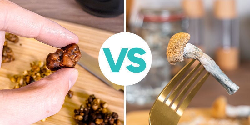 Consuming Magic Truffles VS Magic Mushrooms