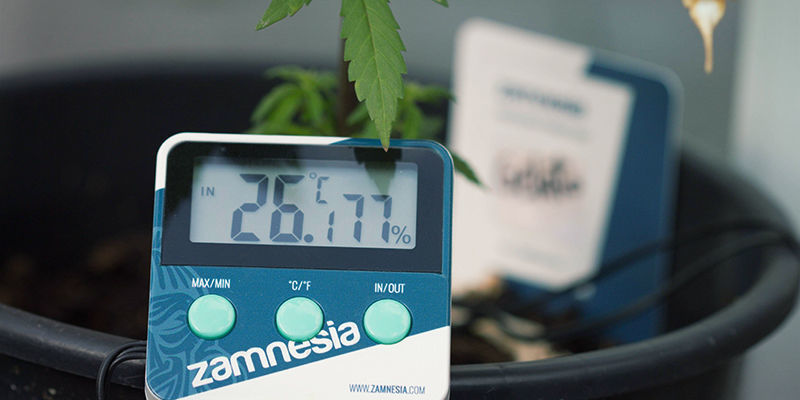 How To Use The Zamnesia Hygrometer/Thermometer - Zamnesia