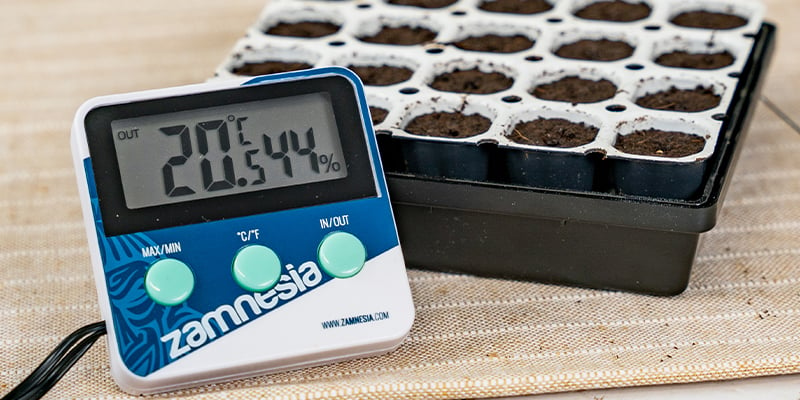 Ideal conditions for germinating cannabis seeds