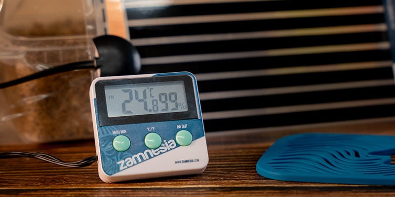il medico utilizza un termometro e un igrometro per mostrare la temperatura  e l'umidità accanto alla pianta di cannabis. l'indicatore di umidità viene  visualizzato sull'igrometro del dispositivo. 9853290 Stock Photo su Vecteezy