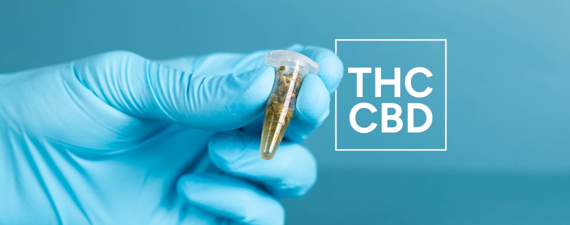 How to test THC / CBD? — PRO Test