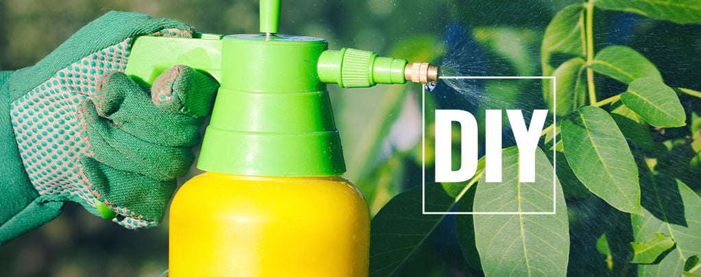 5 Homemade Pesticides: DIY Soap Sprays for Plants