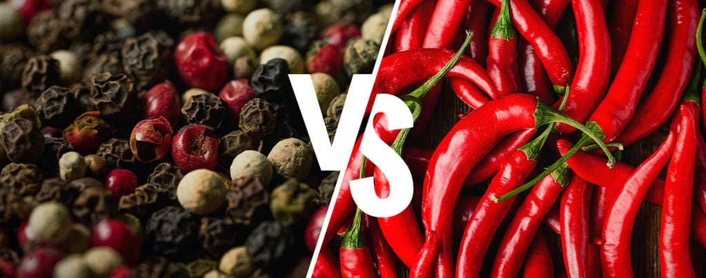 What's The Difference Between Pepper And Chilli? - Zamnesia
