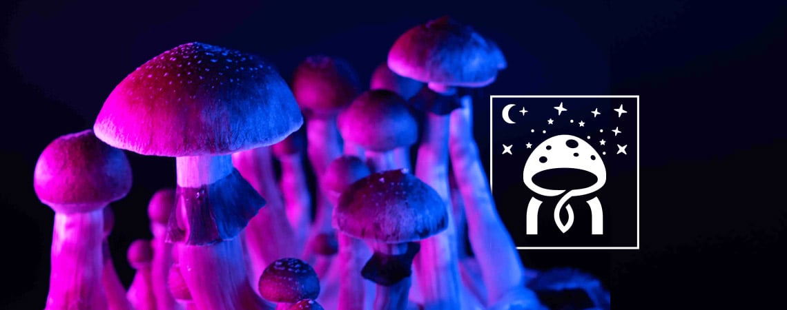 Magic Mushroom Myths: Debunking Common Misconceptions