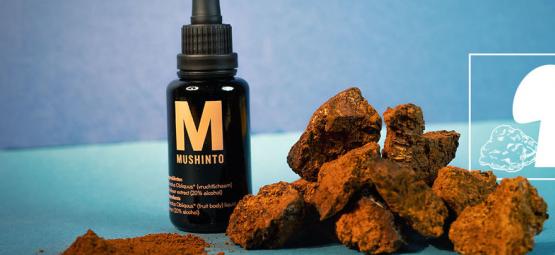 How To Make Magic Mushroom Chocolate - Zamnesia Blog