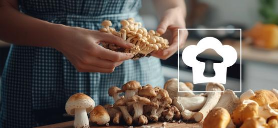 Which Mushrooms Are Best To Eat?