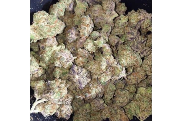 Blueberry Autoflower (Zamnesia Seeds) feminized Blueberry Autoflower (Zamnesia Seeds) feminized