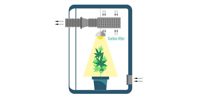 Where To Put A Carbon Filter In Your Grow Room?