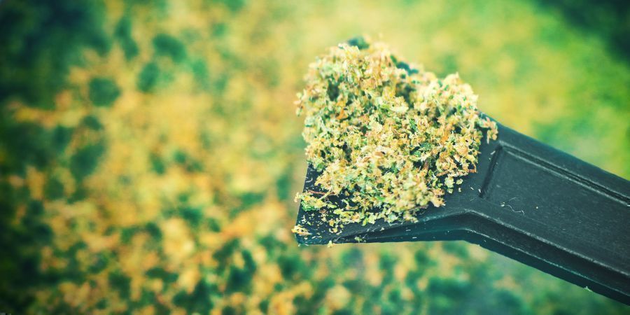 Kief: What To Do With This Cannabis Byproduct - Zamnesia Blog