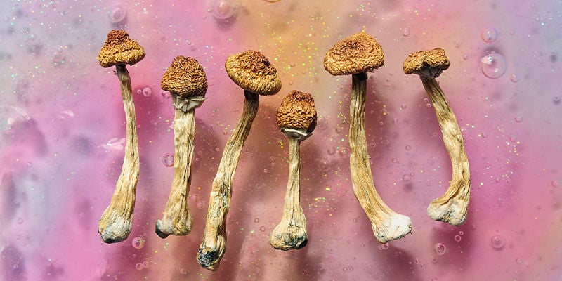 Psilocybin