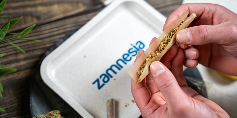 Hemp Rolling Tray Small (Zamnesia)