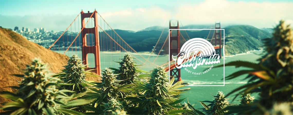 Best Cannabis Strains To Grow In California