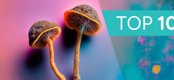 10 Best Things To Do On Magic Mushrooms
