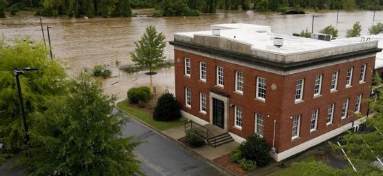 Zamnesia Rallies For Relief: Hurricane Helene's Impact In America