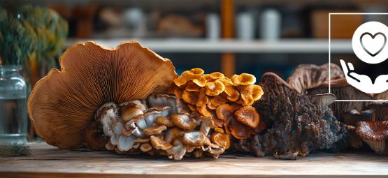 Do Mushrooms Have Health Benefits? 