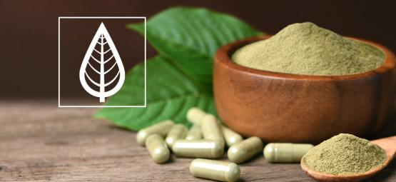 What is the difference between kratom strains?