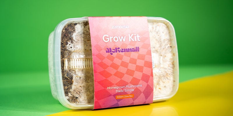 Fresh Mushrooms Grow Kit “McKennaii”