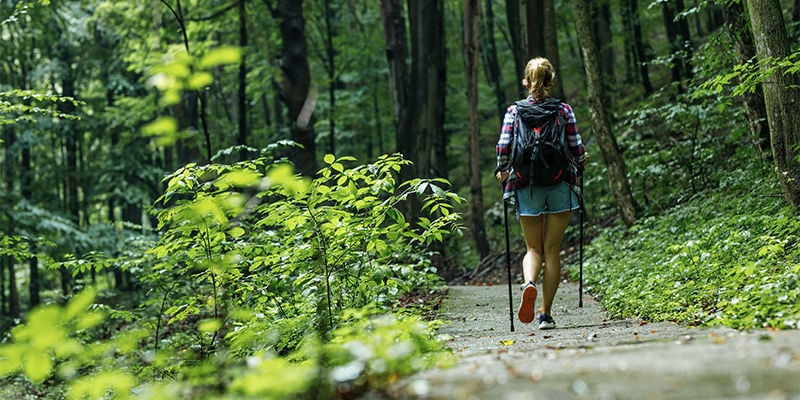 Go On A Nature Walk