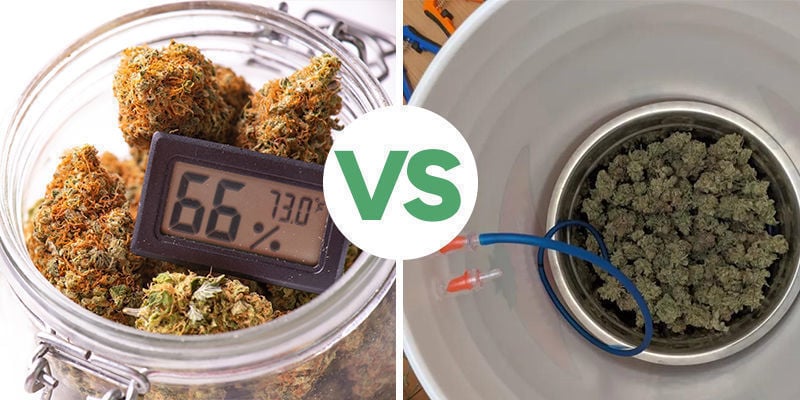 Curing Cannabis: Manual VS Automated