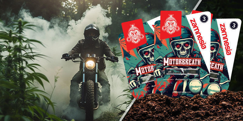 Motorbreath