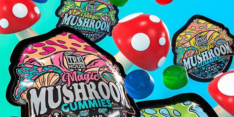 Mushroom Edibles — A Great Way To Harness The Potential Of Mushrooms