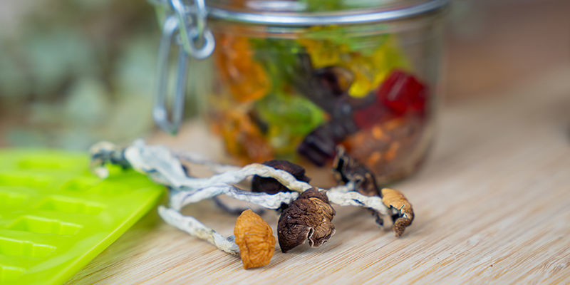 How To Store Your Psilocybin Gummies Long-Term