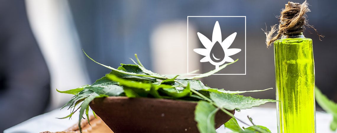 How To Use Neem Oil In The Grow Room