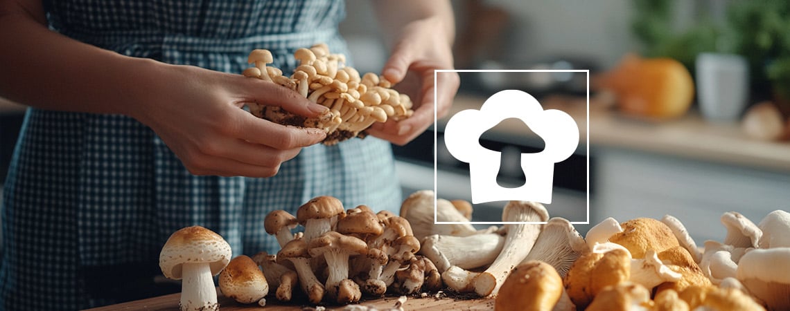 Which Mushrooms Are Best To Eat?