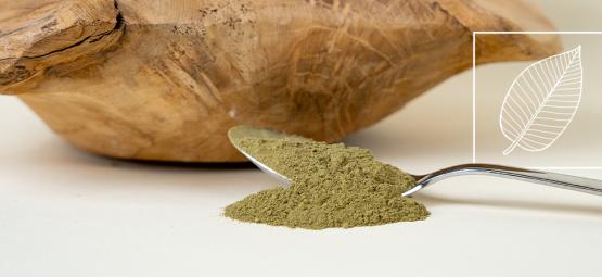 Everything You Need To Know About Kratom